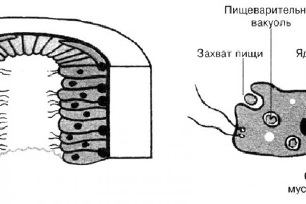 Ссылка на мегу в тор