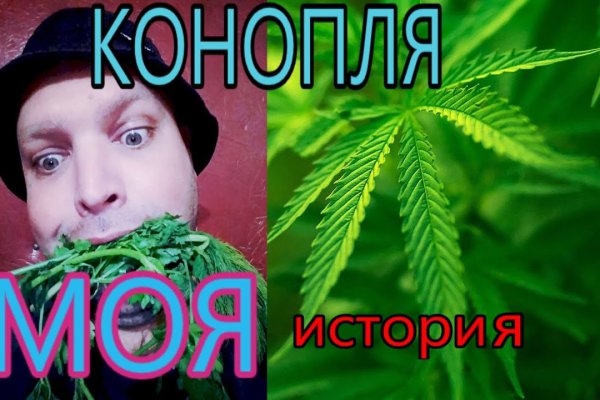 Mega через tor mega ssylka onion com