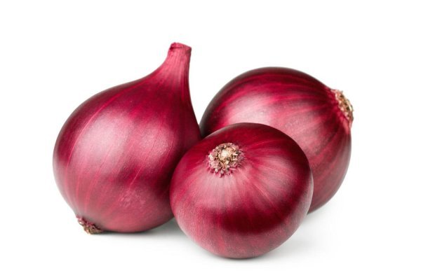 Https megaruzxpnew4af onion