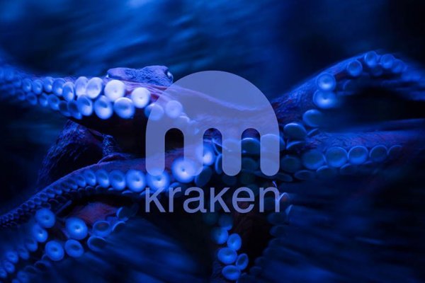 Tor ссылки kraken kraken6.at kraken7.at kraken8.at